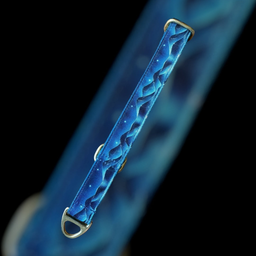 Martingale Taille M - 25mm