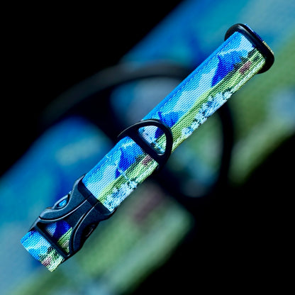 Collier Taille S - CLIP plastique 20mm