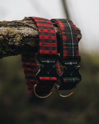Collier pour chien - Damier rouge