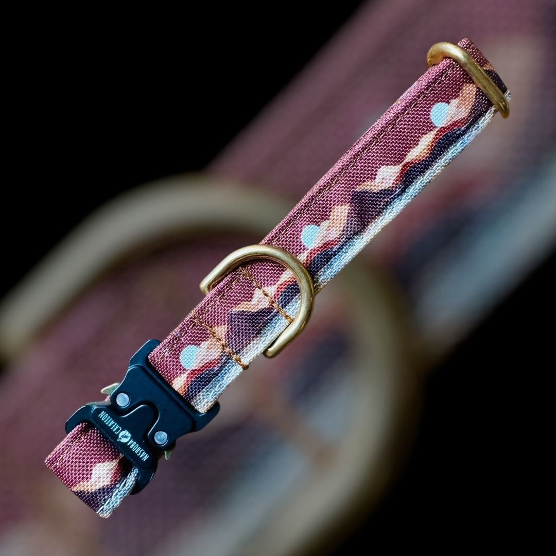 Collier Taille S - CLIP sécu 20mm