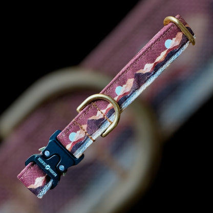 Collier Taille S - CLIP sécu 20mm