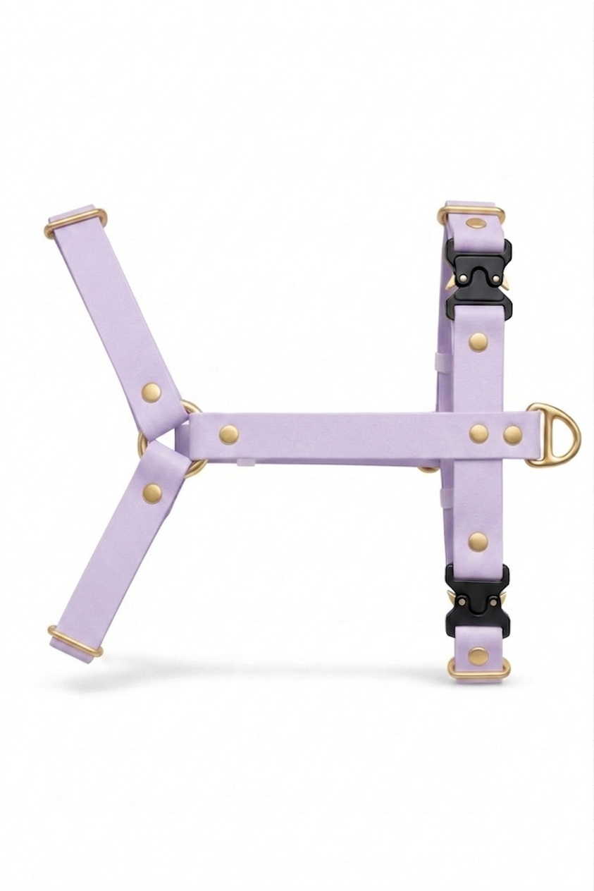 Harnais en biothane® - Lilas