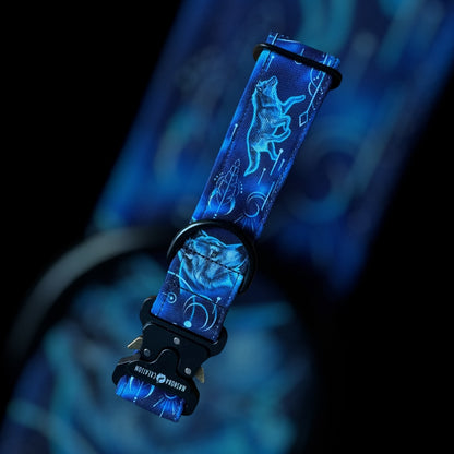 Collier Taille M - Clip sécu 38mm