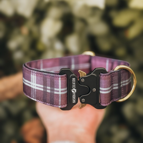 Collier pour chien - Tartan Islay