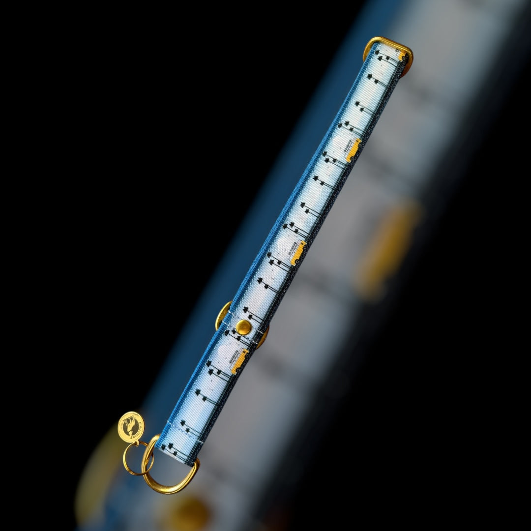 Martingale Taille M - 25mm