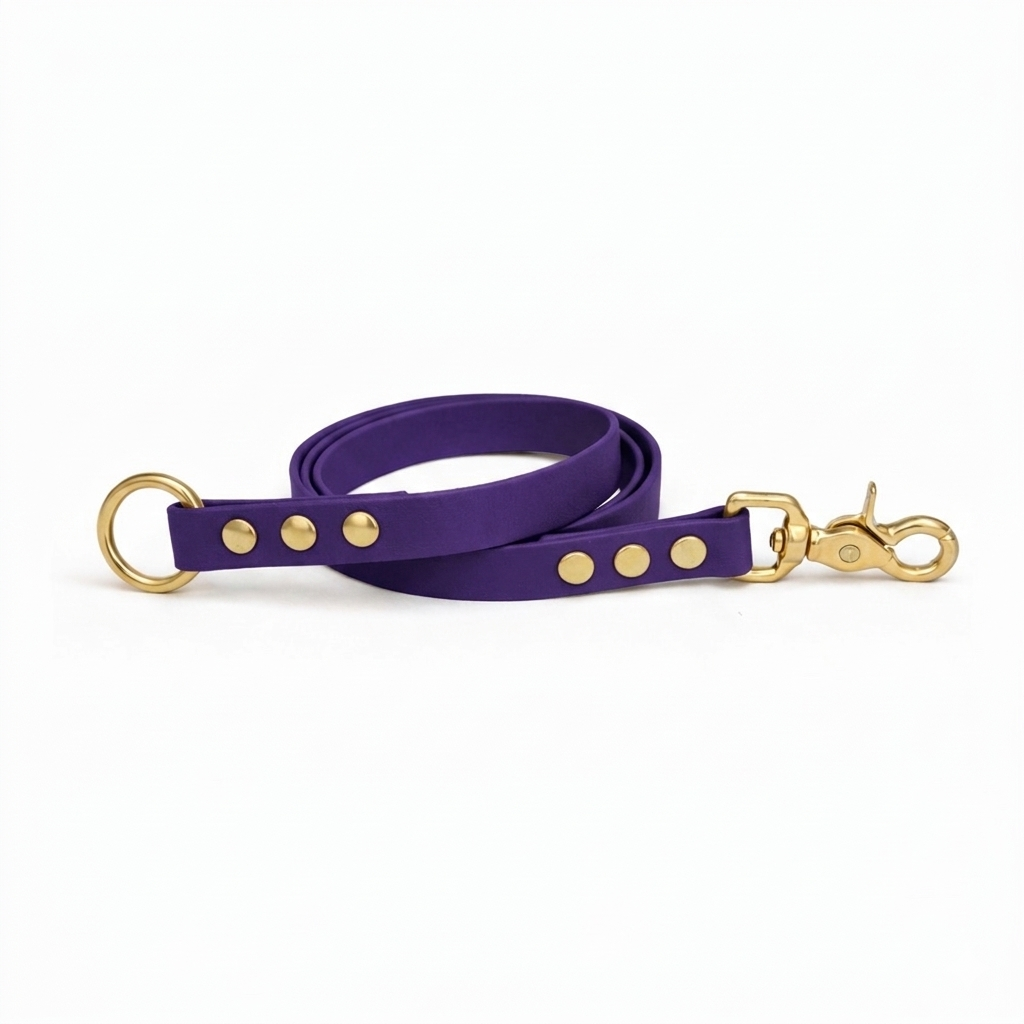 Laisse amovible en biothane® - Violet