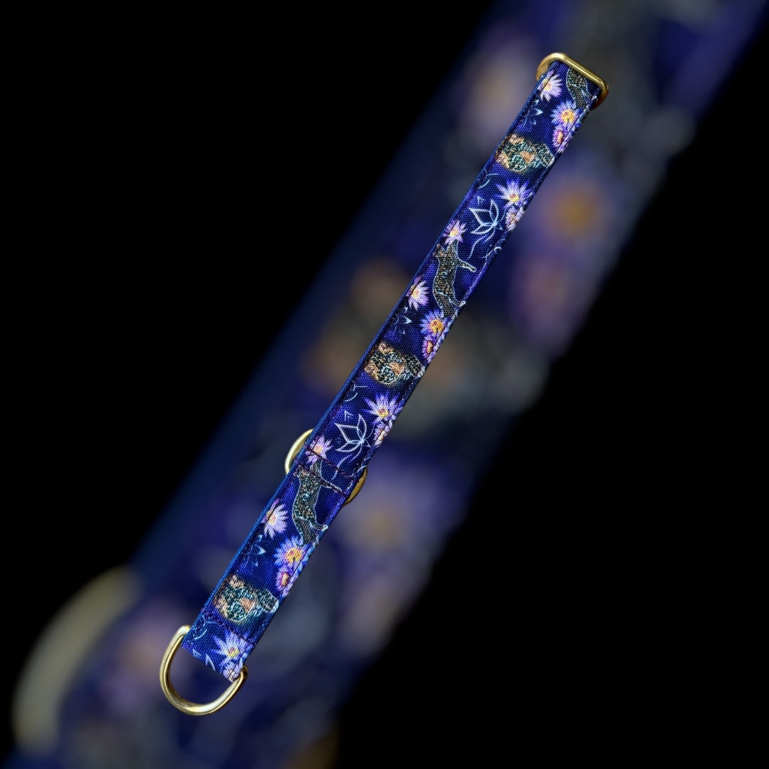 Martingale Taille L (36cm à 67cm) - 25mm