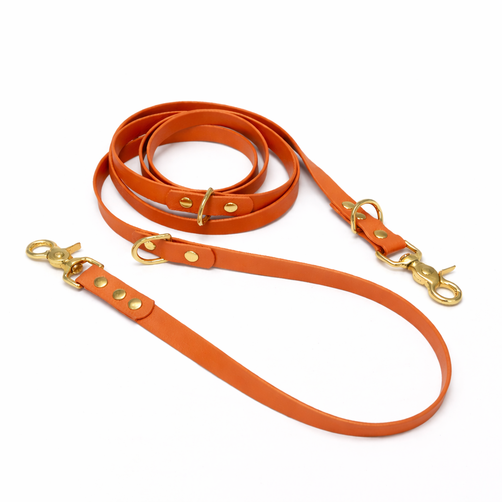 Laisse multipositions en biothane® - Orange