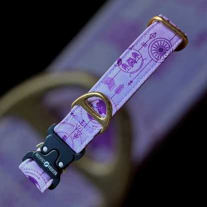 Collier Taille S - Clip sécu 25mm