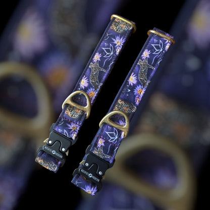 Collier Taille M - Clip sécu 25mm