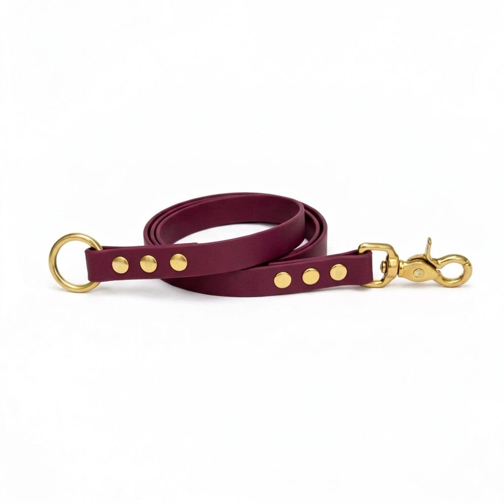 Laisse amovible en biothane® - Bordeaux