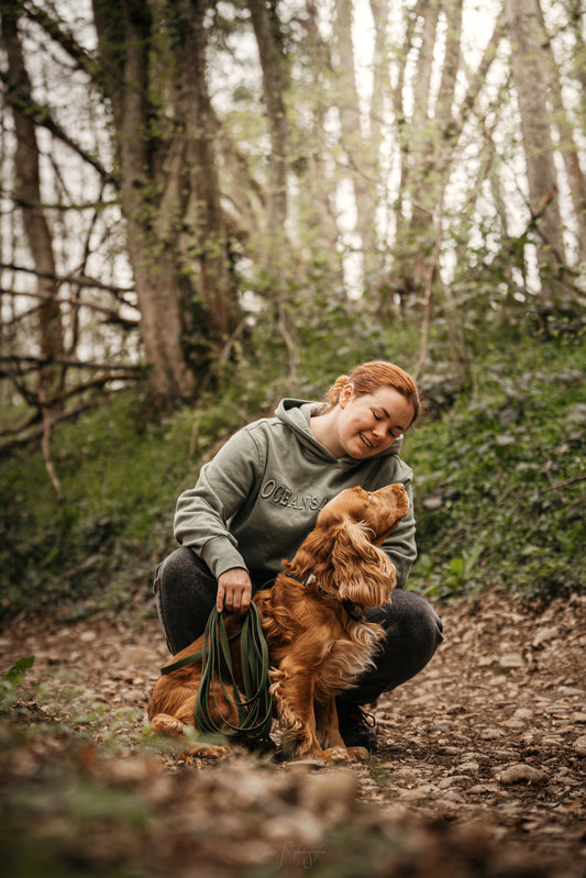 Longe - Laisse pour chien