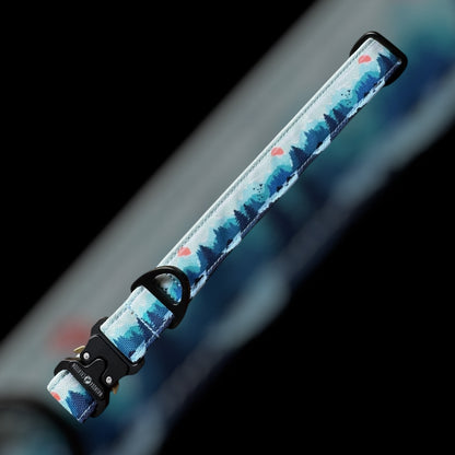 Collier Taille L - Clip sécu 25mm