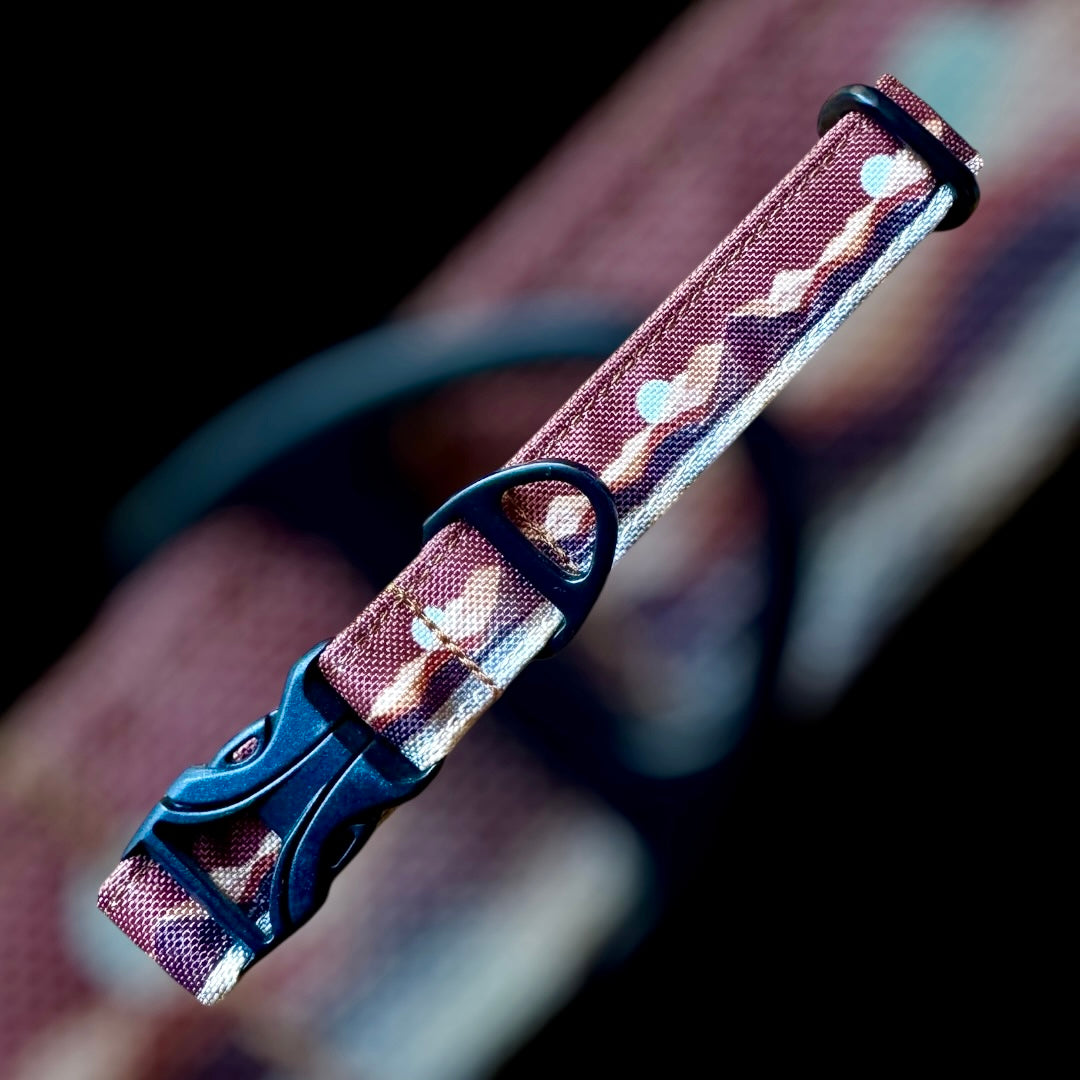 Collier Taille S - CLIP plastique 20mm