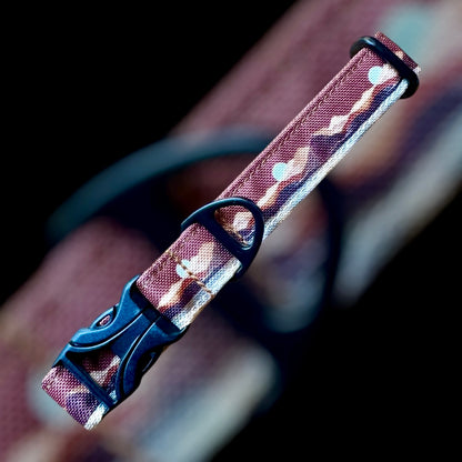 Collier Taille S - CLIP plastique 20mm