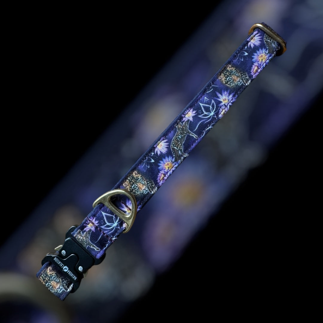 Collier Taille L - Clip sécu 25mm