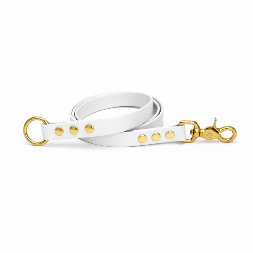 Laisse amovible en biothane® - Blanc