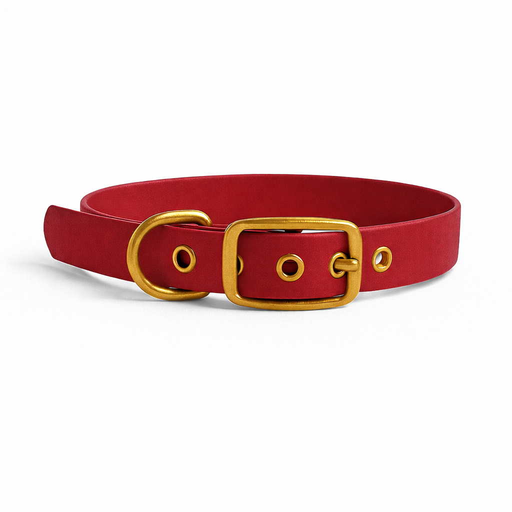 Collier en biothane® - Rouge