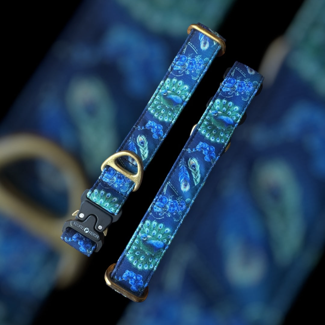 Collier Taille M - Clip sécu 25mm