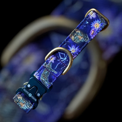 Collier Taille S - Clip sécu 25mm