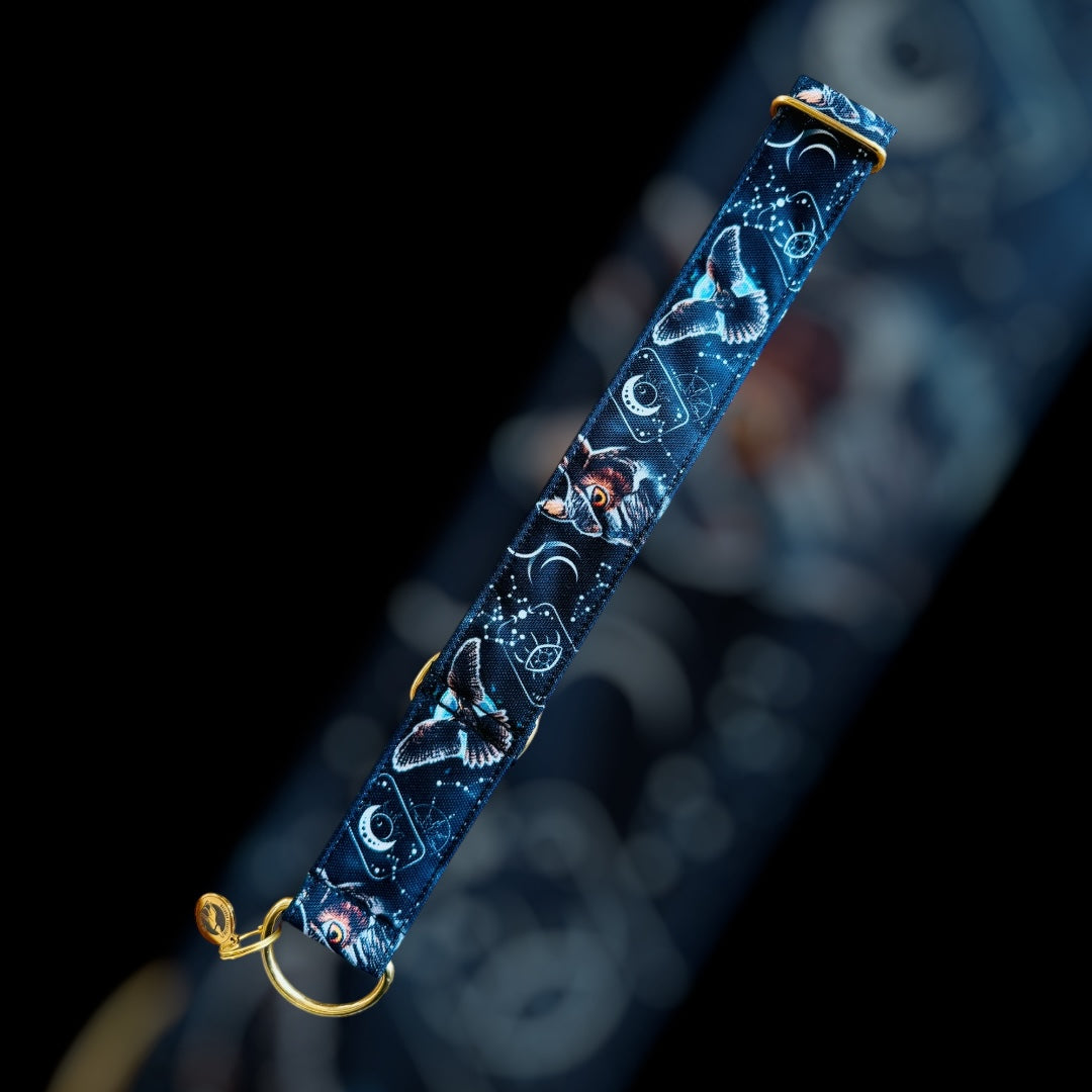 Martingale Taille L (36 à 67cm) - 38mm