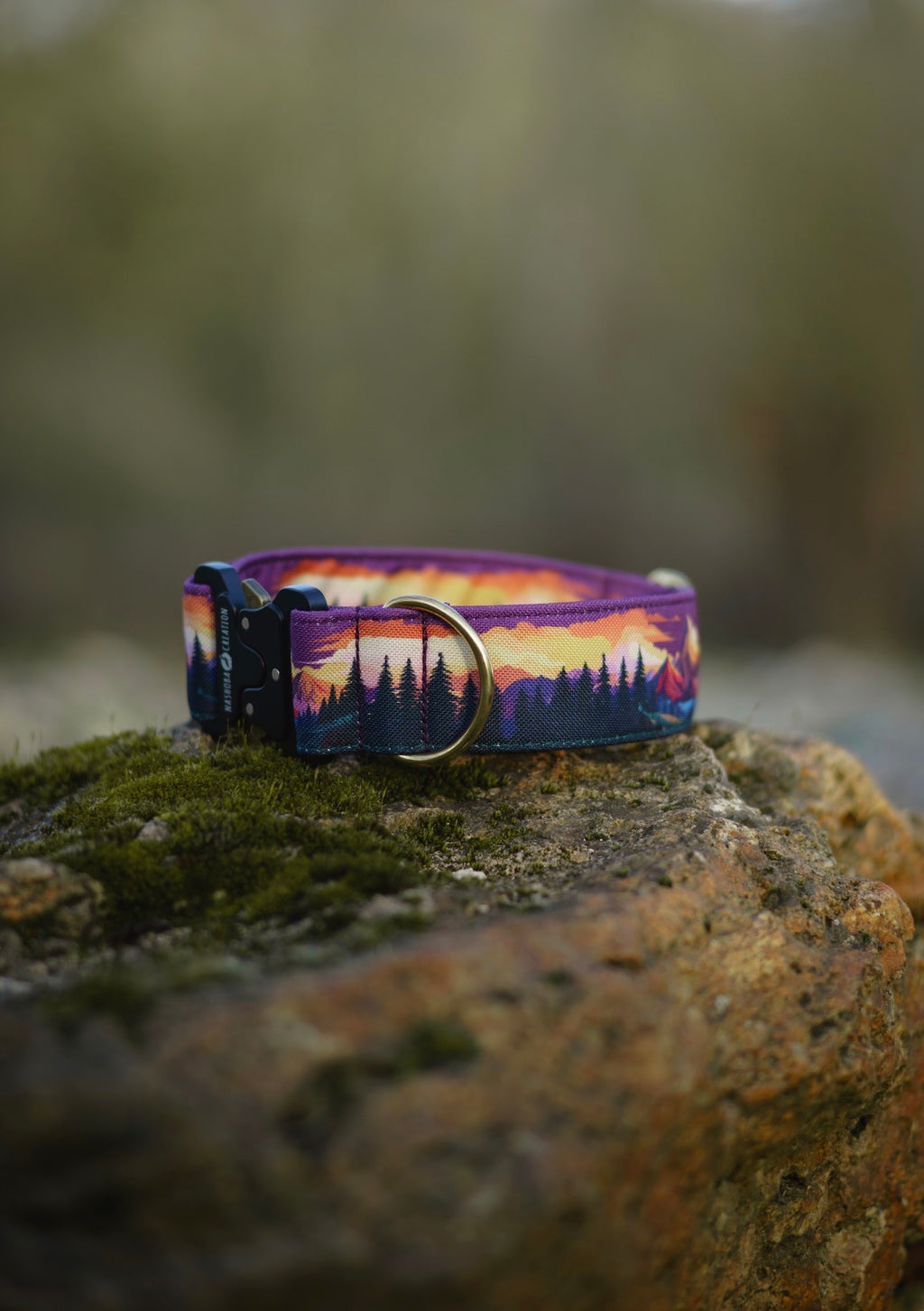 Collier pour chien - Amber Valley