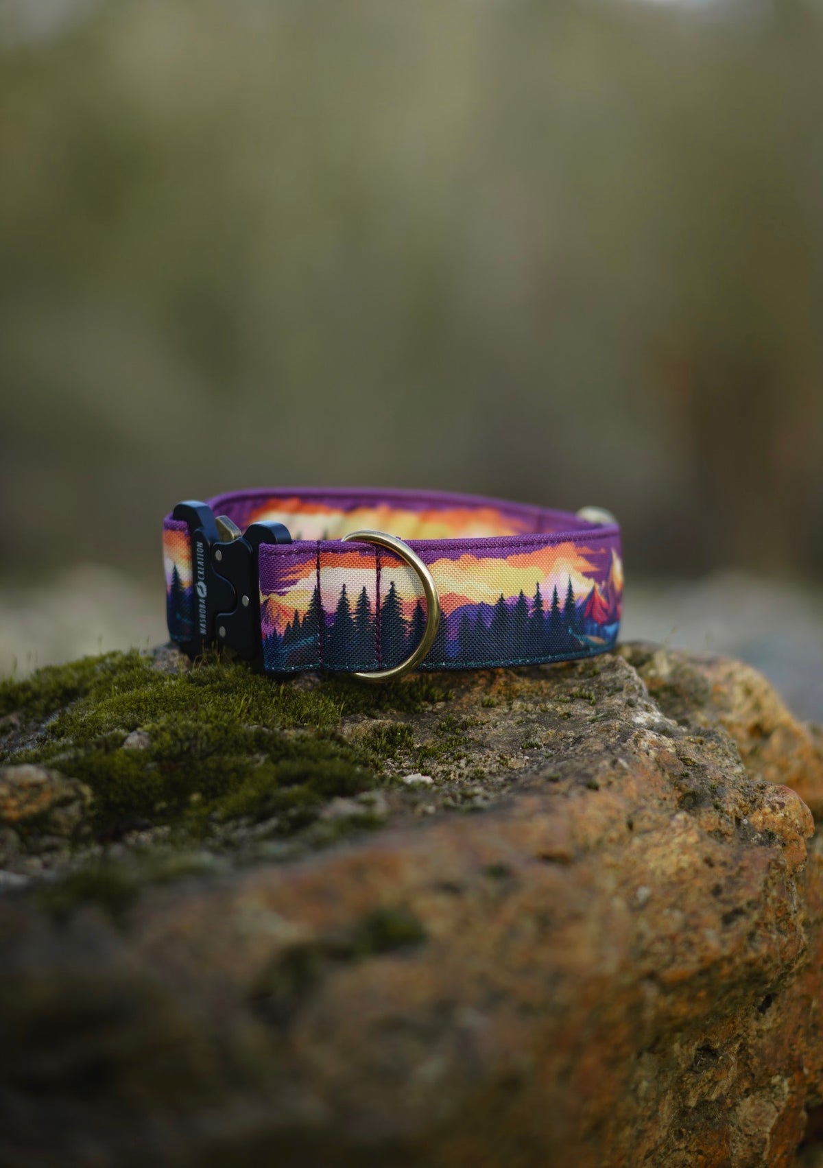 Collier pour chien - Amber Valley