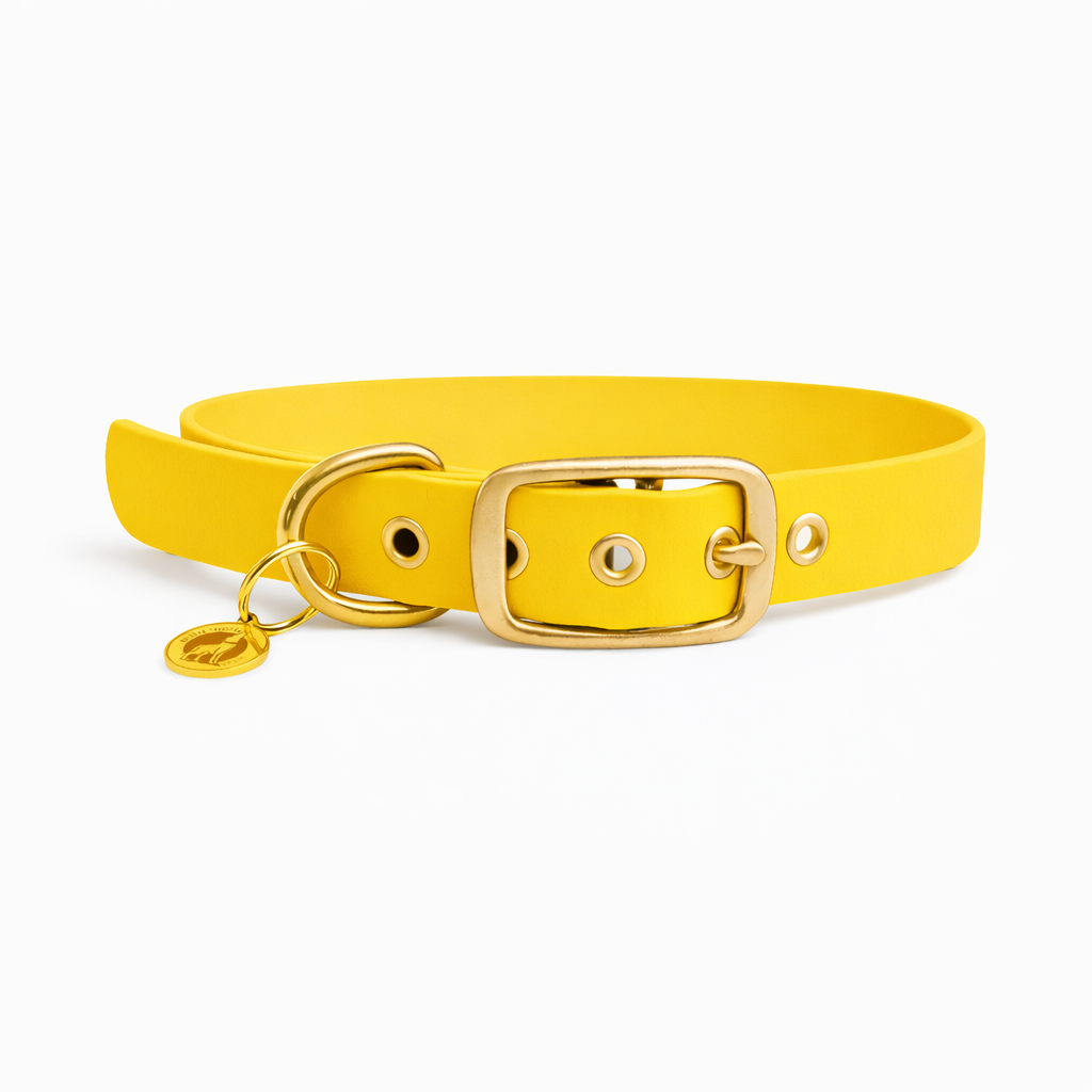 Collier en biothane® - Jaune
