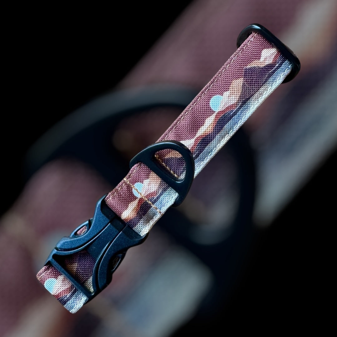 Collier Taille S - Clip plastique 25mm