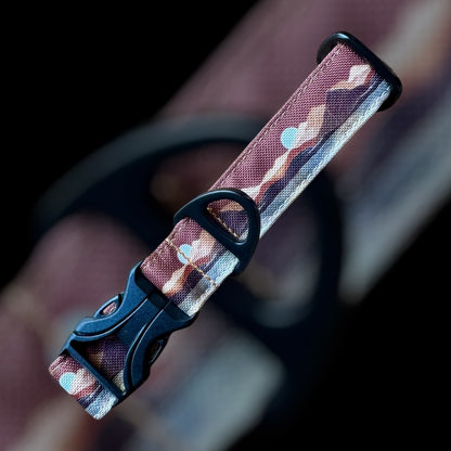 Collier Taille S - Clip plastique 25mm