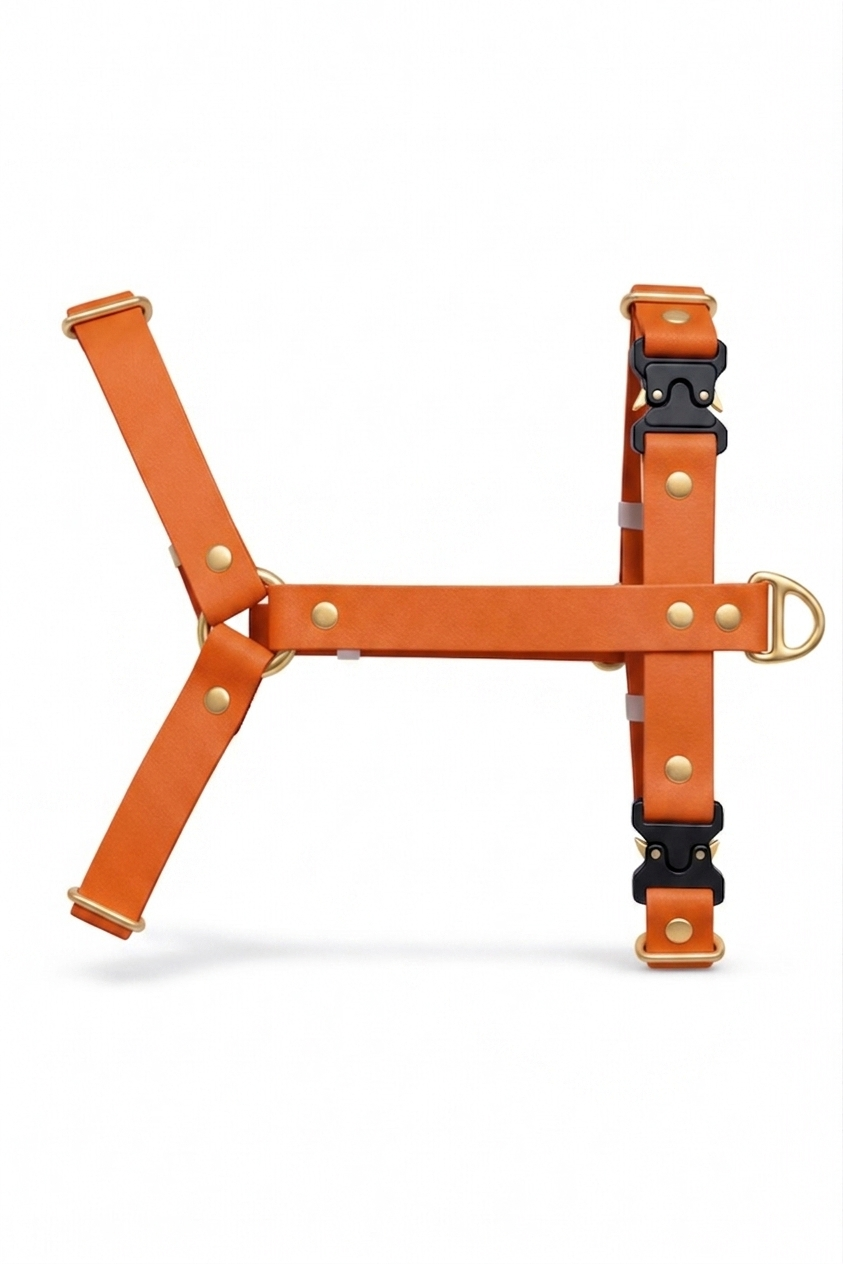 Harnais en biothane® - Orange