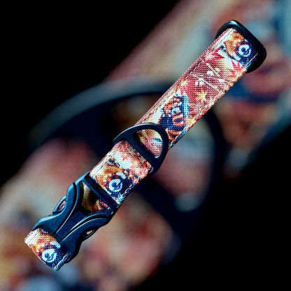 Collier Taille S - CLIP plastique 20mm