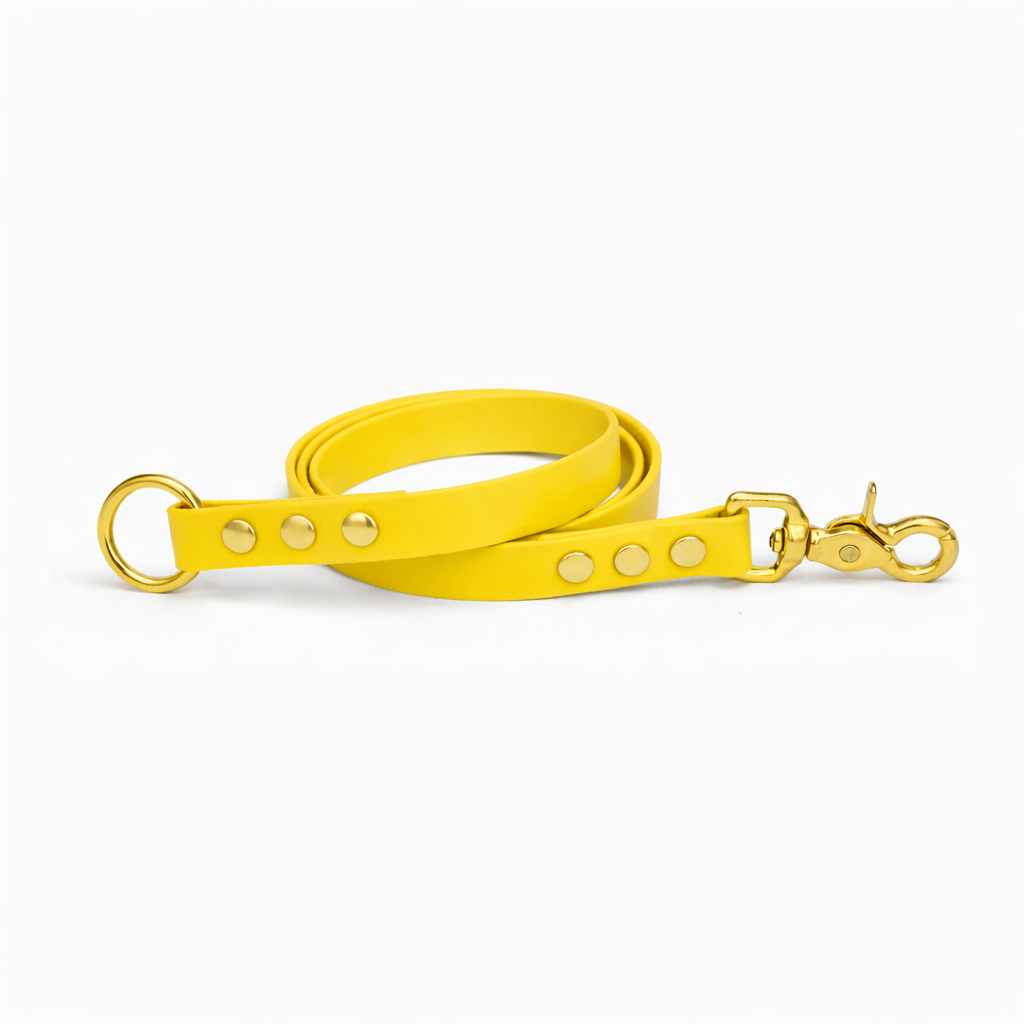 Laisse amovible en biothane® - jaune