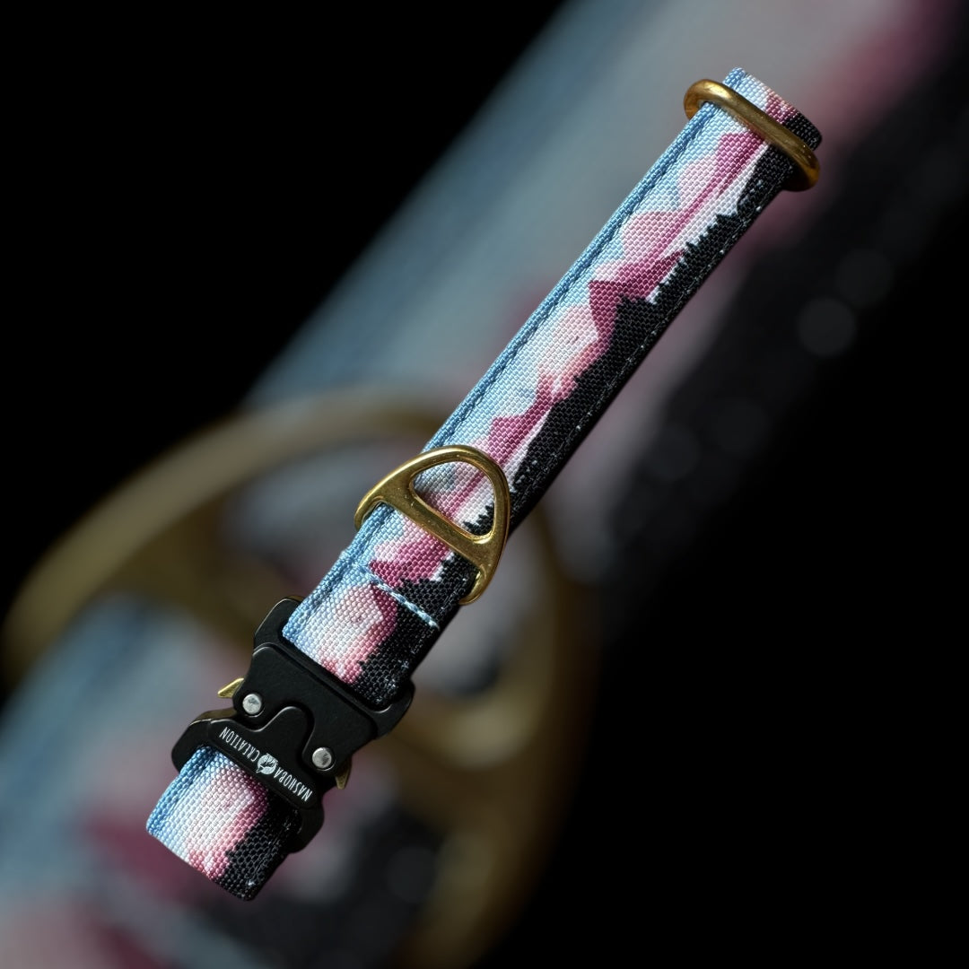 Collier Taille S - CLIP sécu 20mm
