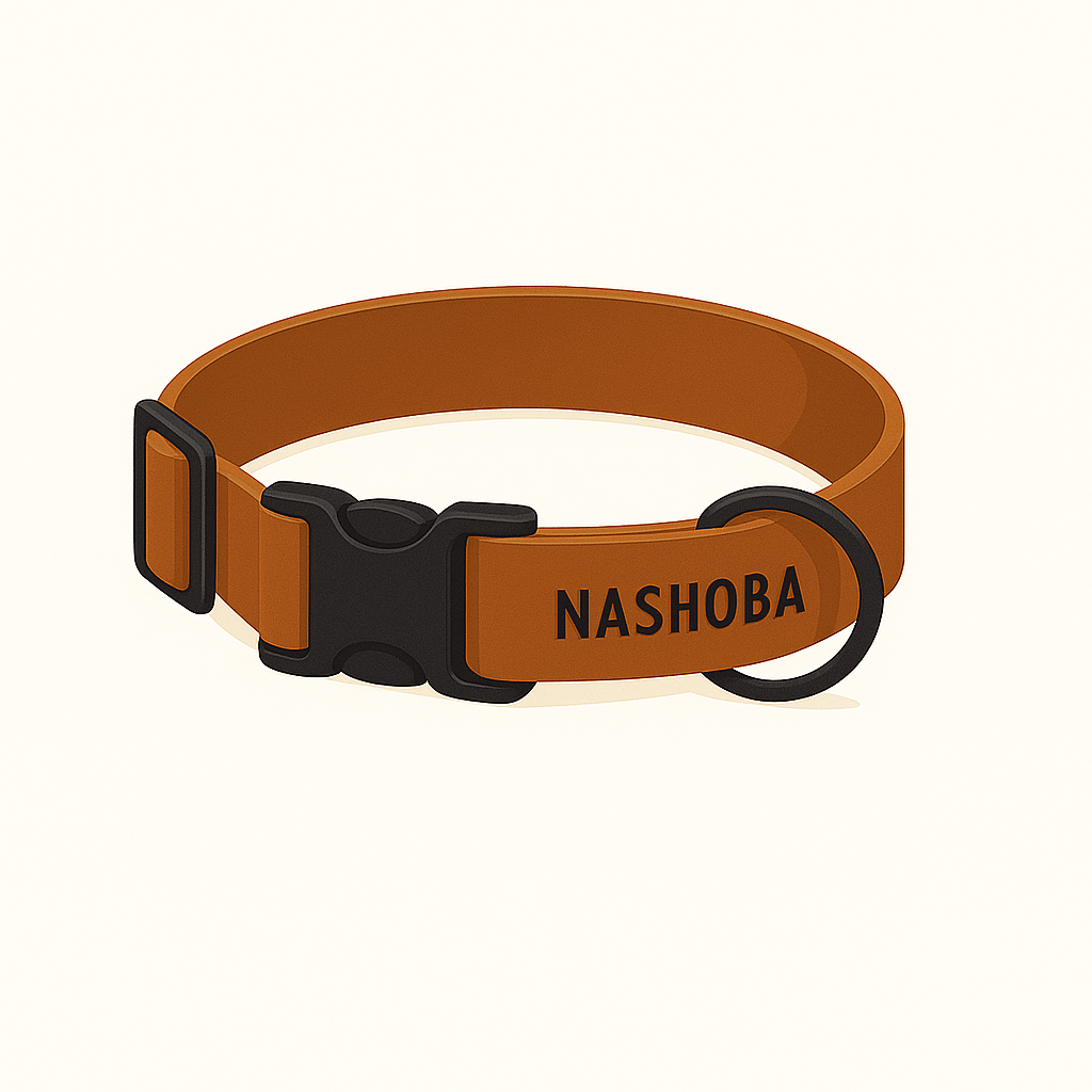 Collier Taille S - Clip plastique 25mm