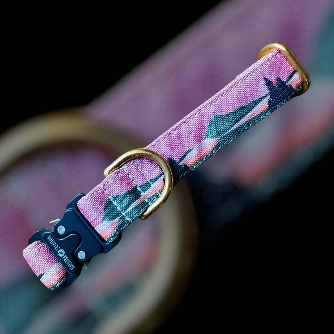 Collier Taille S - CLIP sécu 20mm