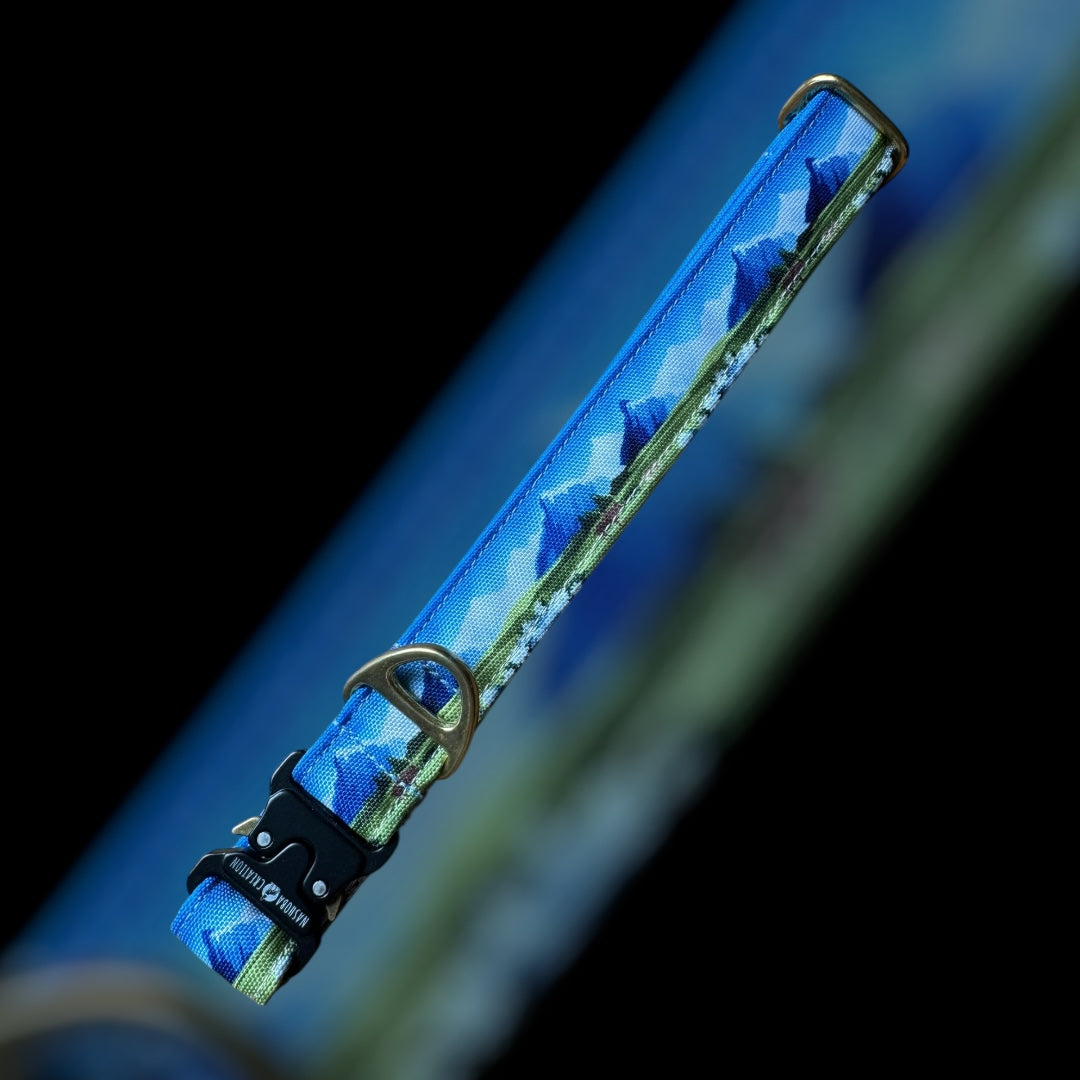 Collier Taille L - Clip sécu 25mm