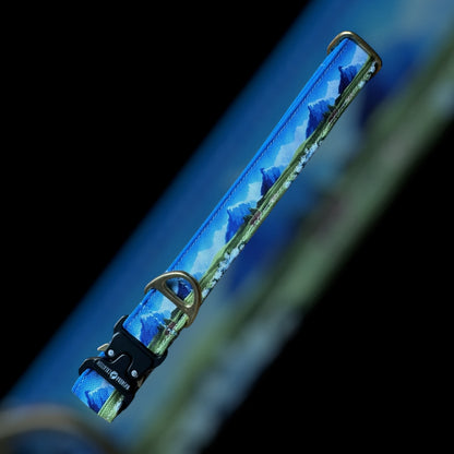 Collier Taille L - Clip sécu 25mm