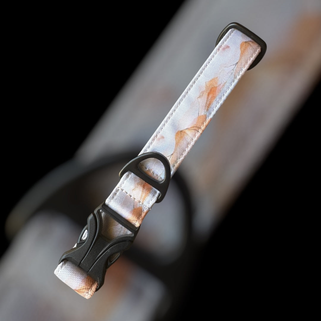 Collier Taille M - Clip plastique 25mm