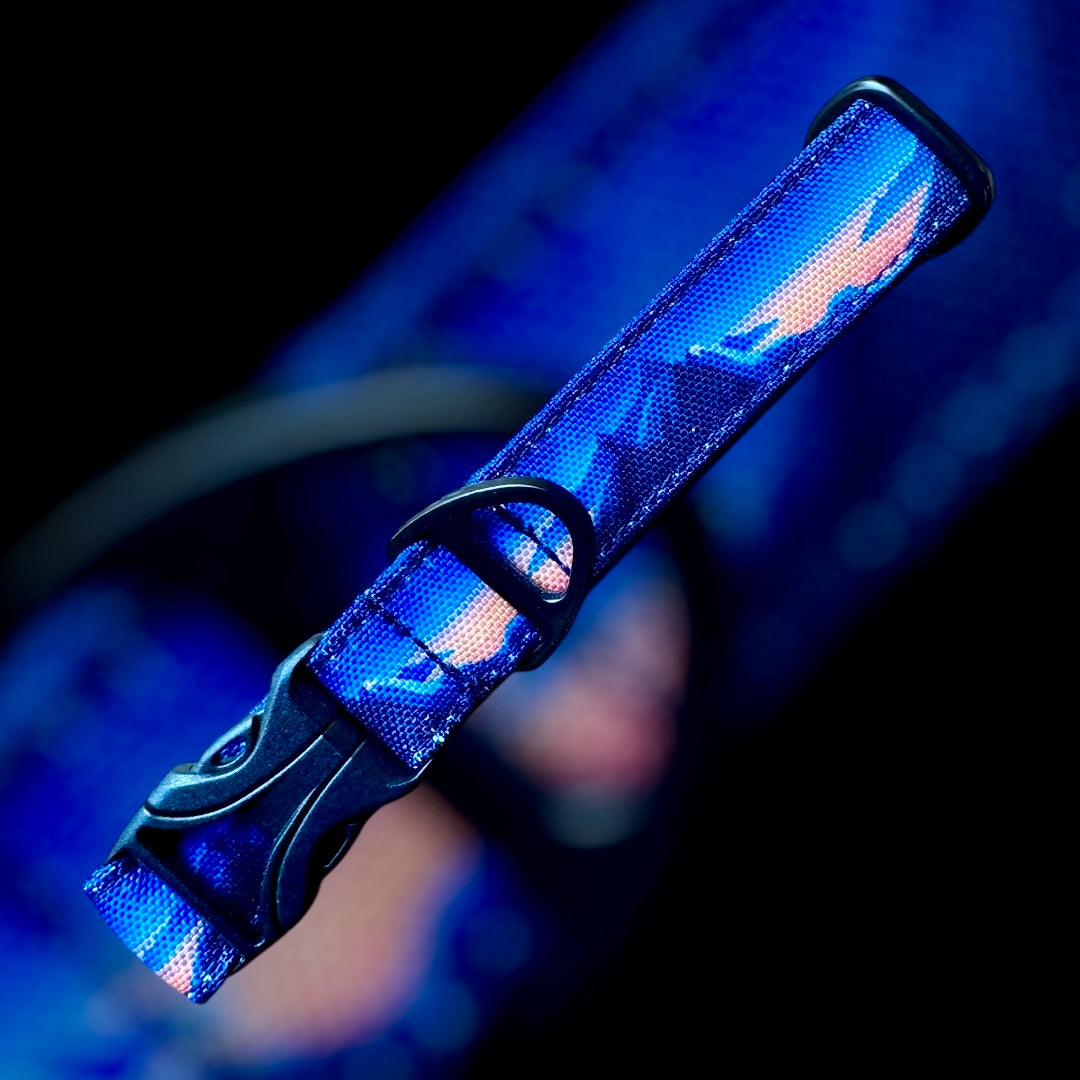 Collier Taille S - CLIP plastique 20mm