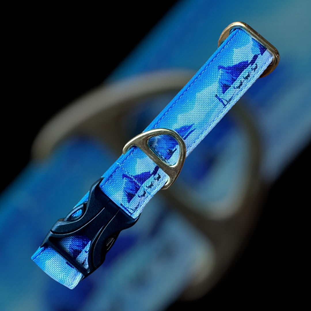 Collier Taille S - Clip plastique 25mm