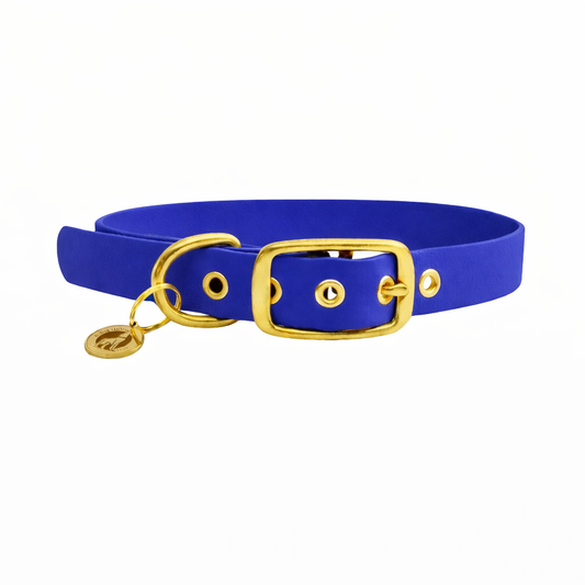 Collier en biothane® - Royal