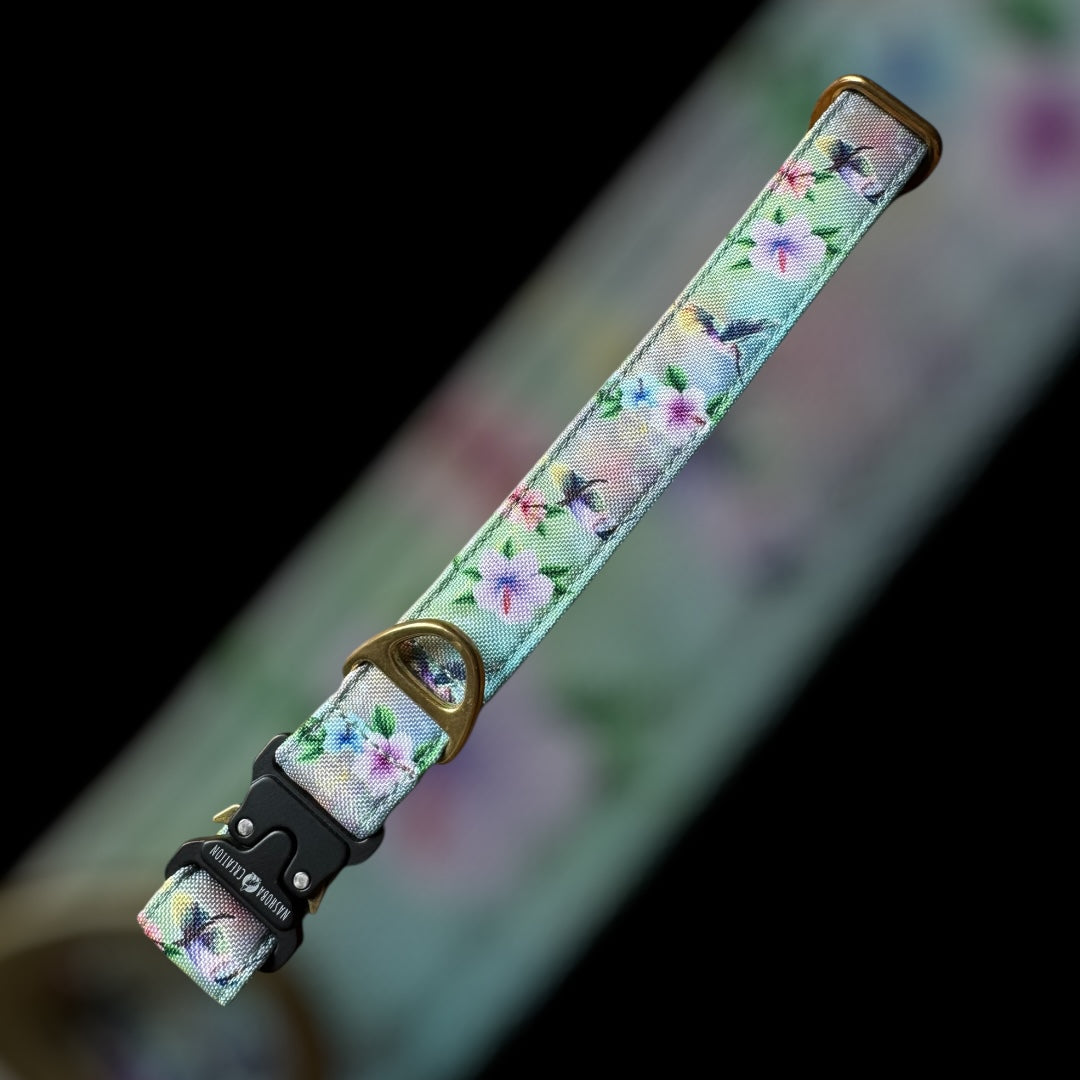 Collier Taille L - Clip sécu 25mm