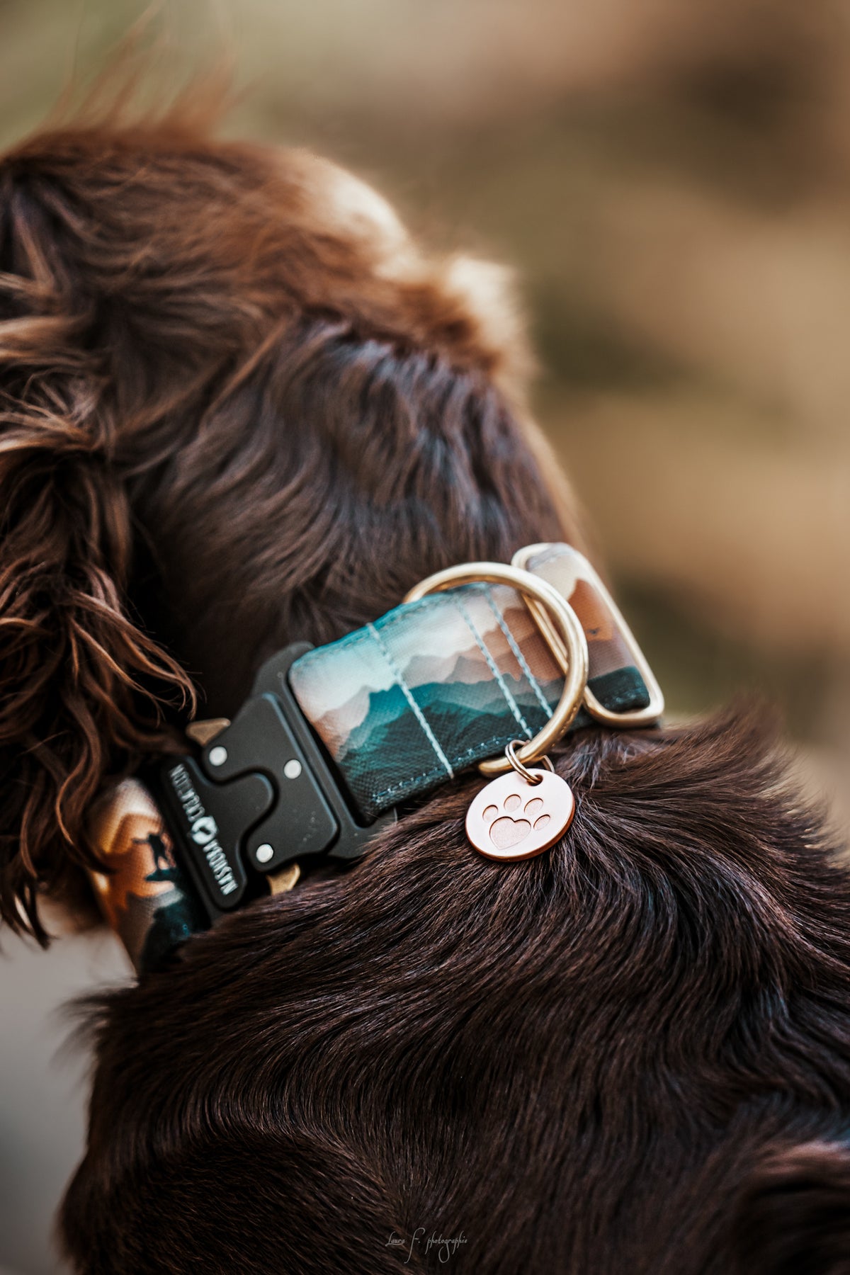 Collier pour chien - Freedom