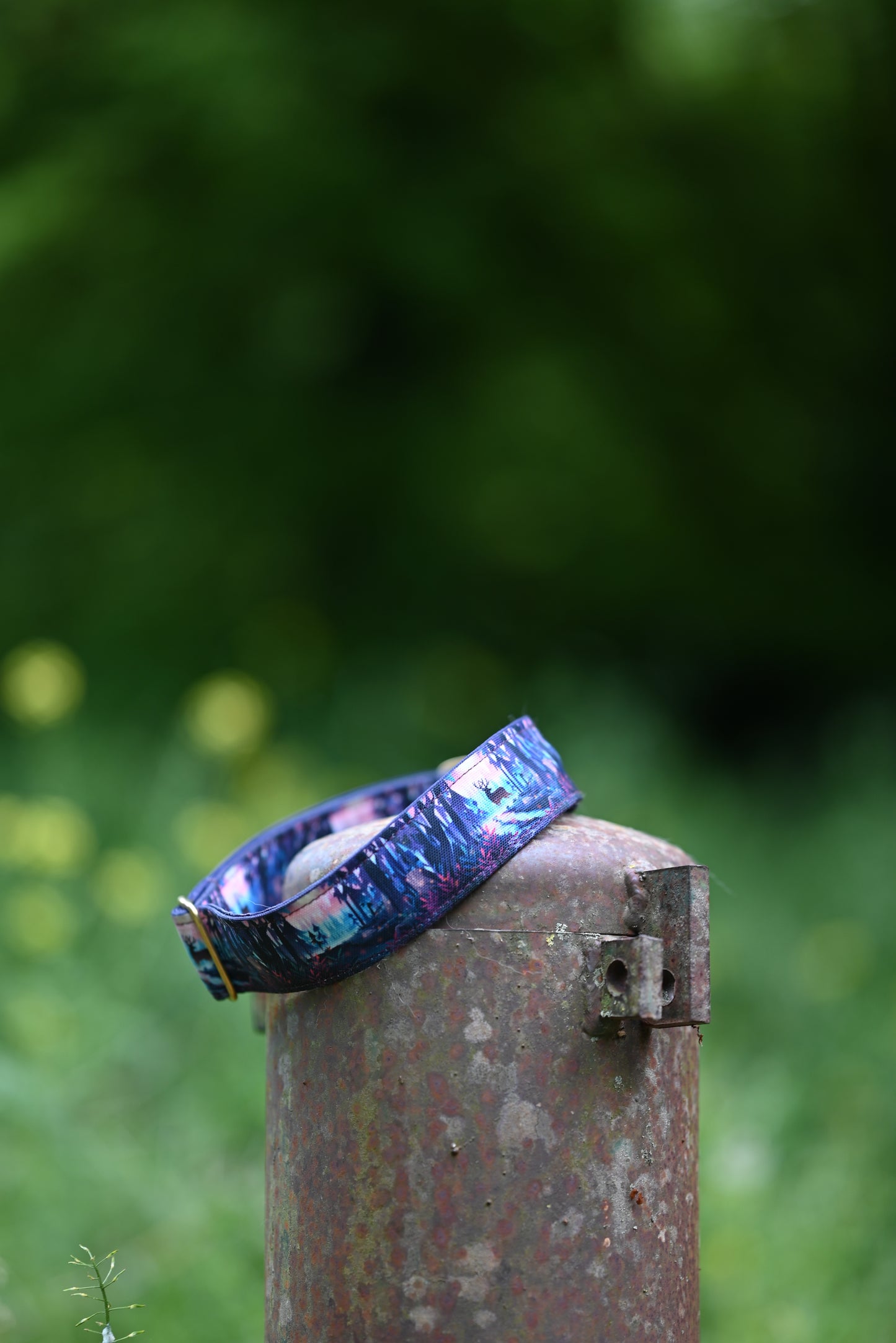 Collier pour chien - Fairytale