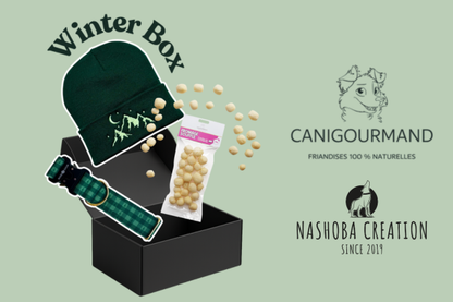 La Winter Box - Damier vert & Bonnet Forêt