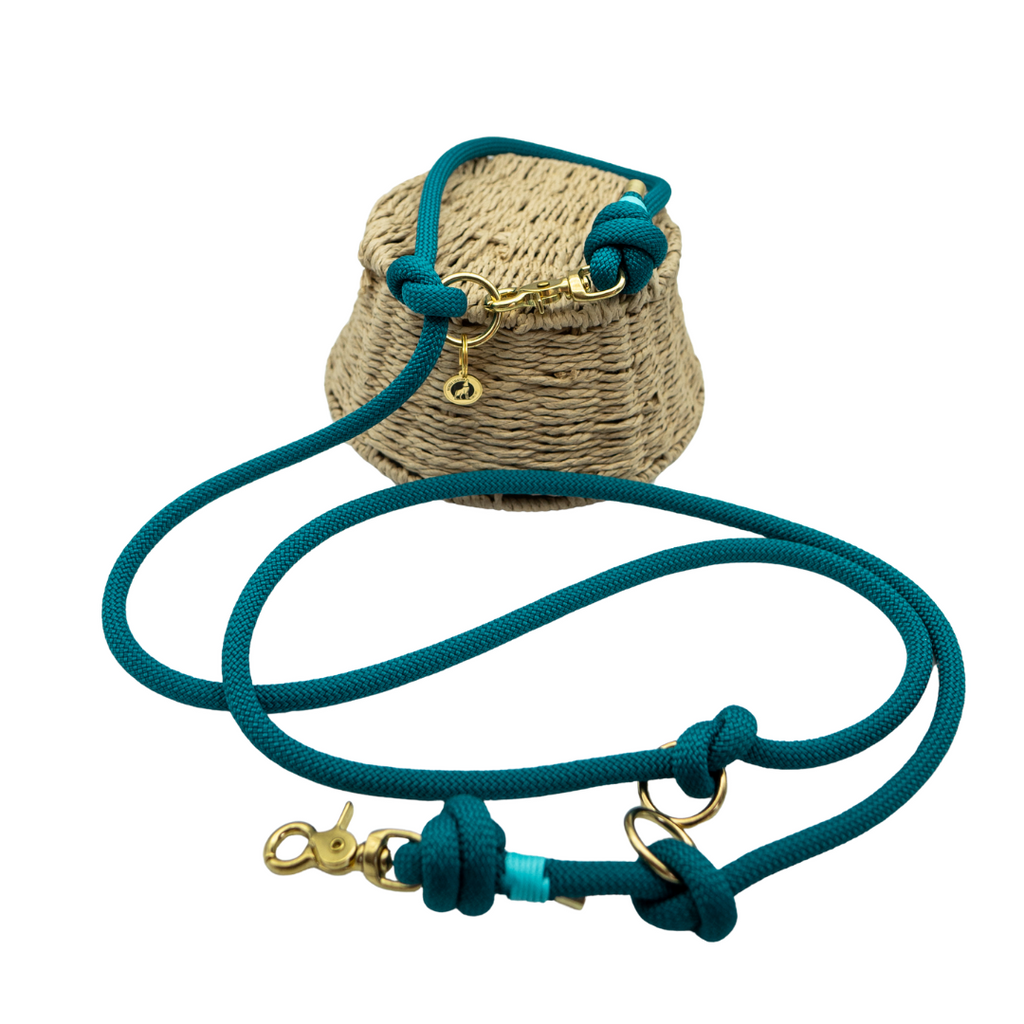 Laisse en corde Aqua