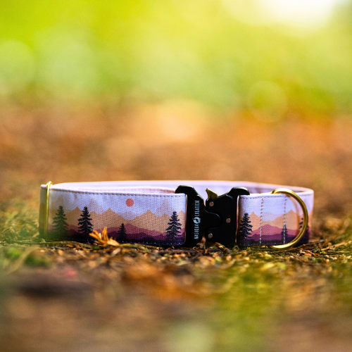 Collier pour chien - Sunset Pine