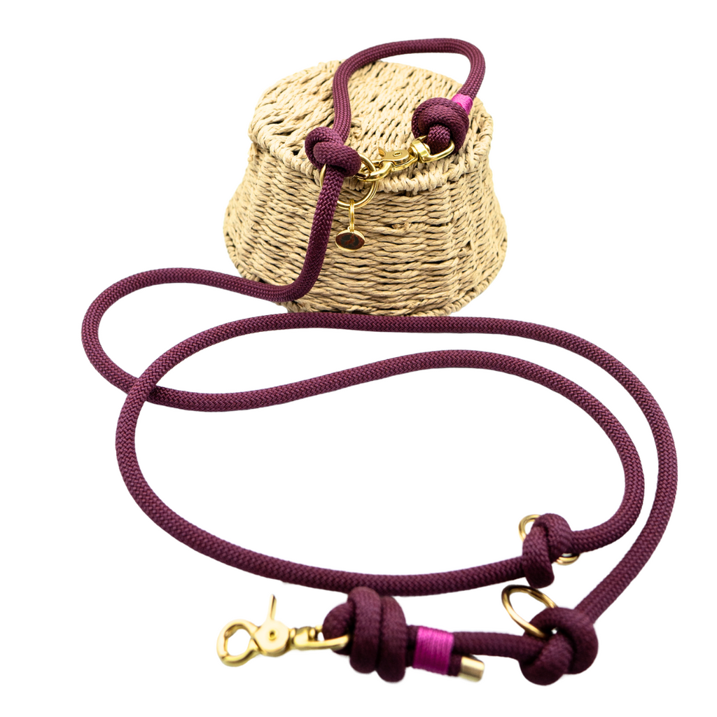 Laisse en corde Aubergine