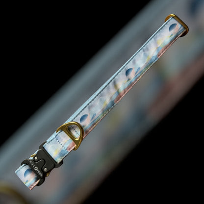 Collier Taille L - Clip sécu 25mm